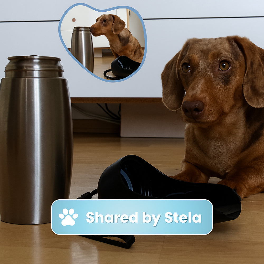 Travel Companion Insulated Dog Water Bottle With Leak-Proof Dispenser