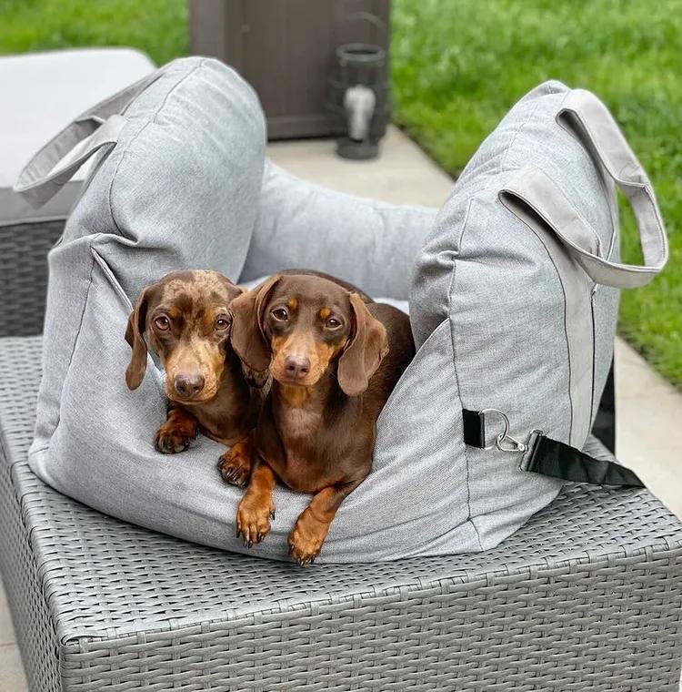 Travelpup Seat Bed For Cars With Adjustable Straps