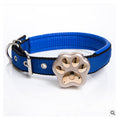 V30 Dog Tracker With GPS And Waterproof Design For Pets