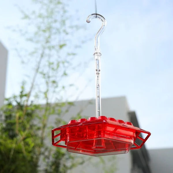 Vibrant Hummingbird Feeder With Integrated Ant Moat For Clean Nectar