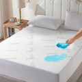 EcoGuard Mattress Protector That Is Waterproof With Bamboo Viscose Cover
